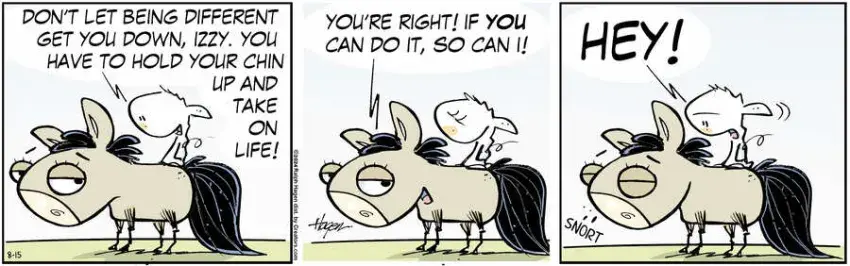 The Barn for Aug 15, 2024