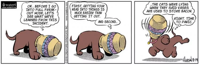 Dog Eat Doug for Aug 19, 2023