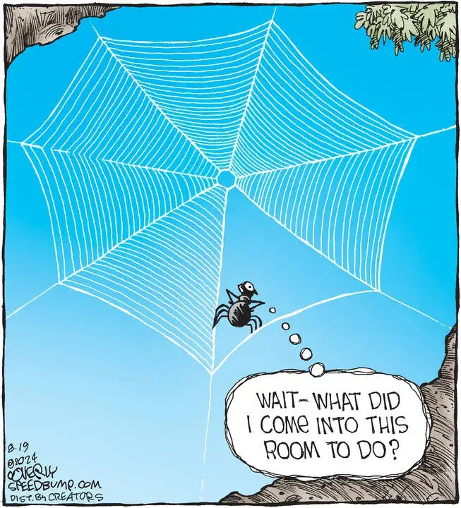 Speed Bump for Aug 19, 2024