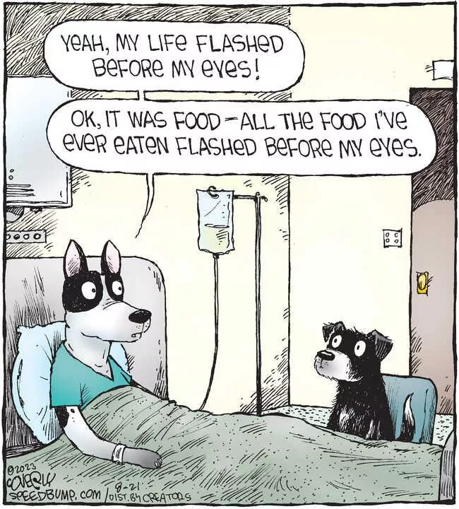 Speed Bump for Aug 21, 2023