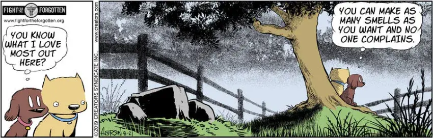 Dog Eat Doug for Aug 21, 2024