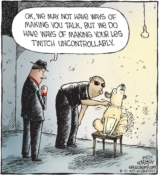 Speed Bump for Aug 21, 2024