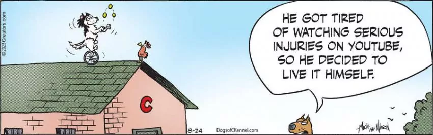 Dogs of C-Kennel for Aug 24, 2023