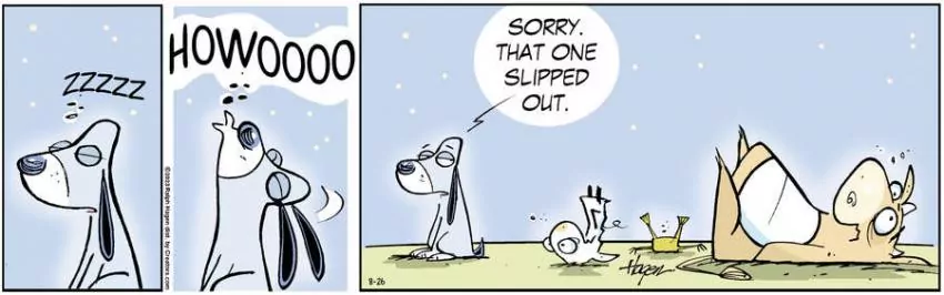 The Barn for Aug 26, 2023