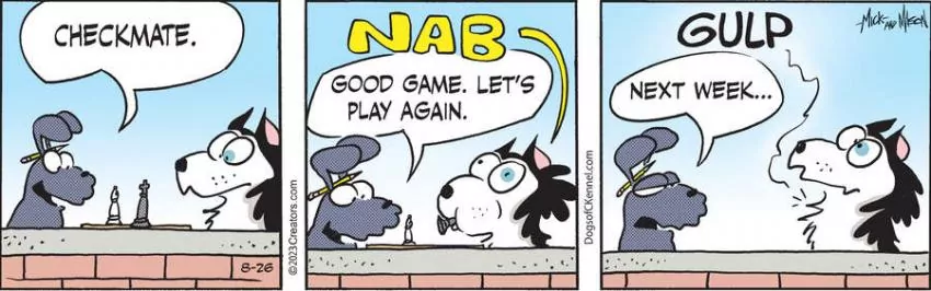Dogs of C-Kennel for Aug 26, 2023