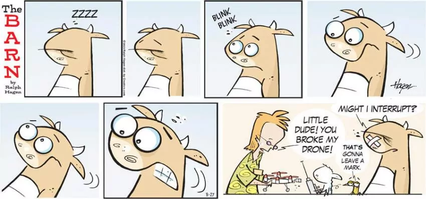 The Barn for Aug 27, 2023