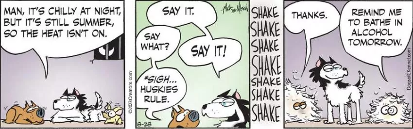 Dogs of C-Kennel for Aug 28, 2023