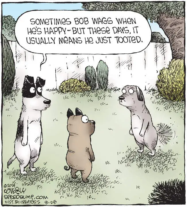 Speed Bump for Aug 28, 2024