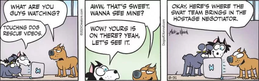 Dogs of C-Kennel for Aug 31, 2023