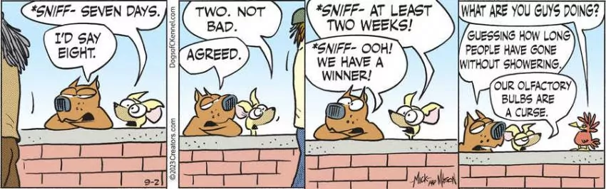 Dogs of C-Kennel for Sep 02, 2023
