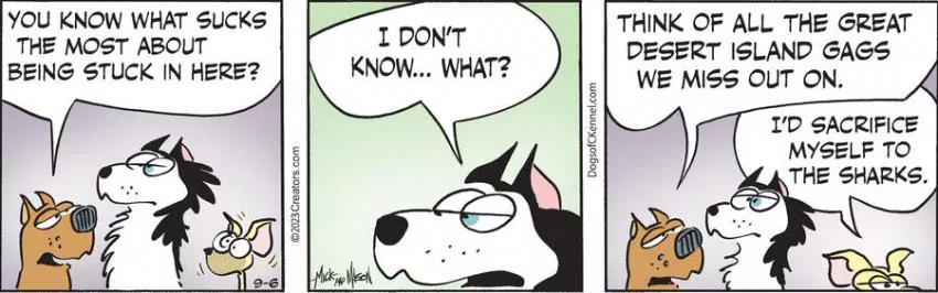 Dogs of C-Kennel for Sep 06, 2023