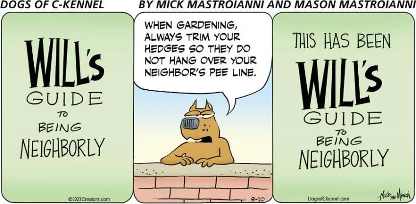 Dogs of C-Kennel for Sep 10, 2023