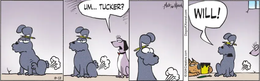 Dogs of C-Kennel for Sep 12, 2024