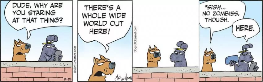 Dogs of C-Kennel for Sep 15, 2023