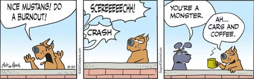 Dogs of C-Kennel for Sep 20, 2023