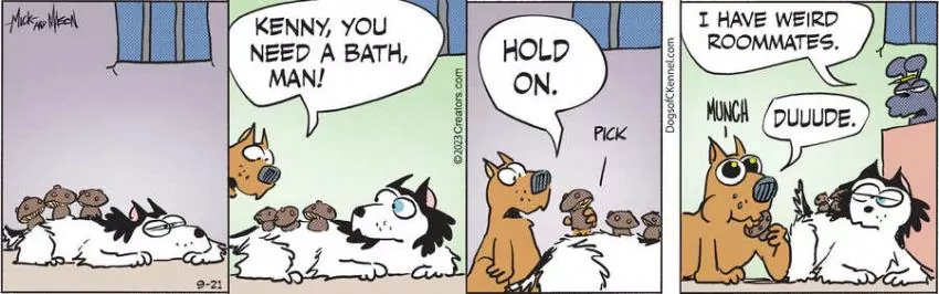 Dogs of C-Kennel for Sep 21, 2023