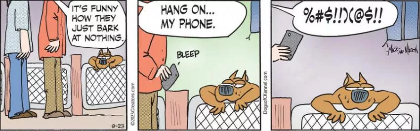 Dogs of C-Kennel for Sep 23, 2023