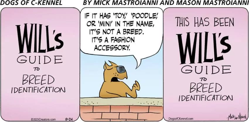 Dogs of C-Kennel for Sep 24, 2023