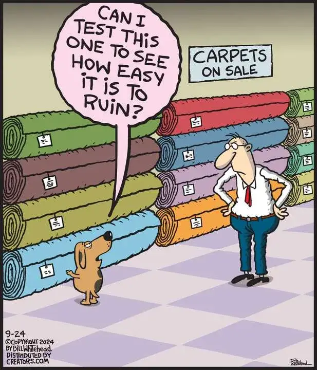 Free Range for Sep 24, 2024