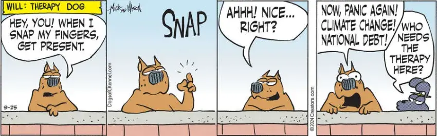 Dogs of C-Kennel for Sep 25, 2024