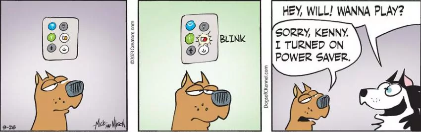 Dogs of C-Kennel for Sep 26, 2023