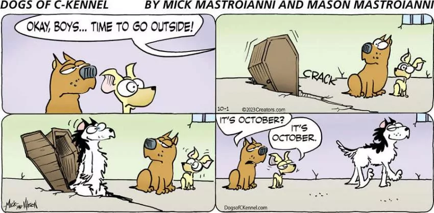 Dogs of C-Kennel for Oct 01, 2023