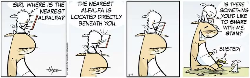 The Barn for Oct 09, 2023