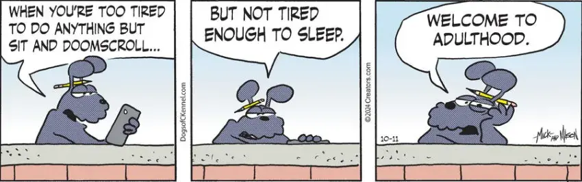 Dogs of C-Kennel for Oct 11, 2024