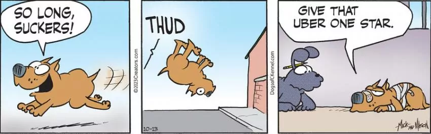 Dogs of C-Kennel for Oct 13, 2023