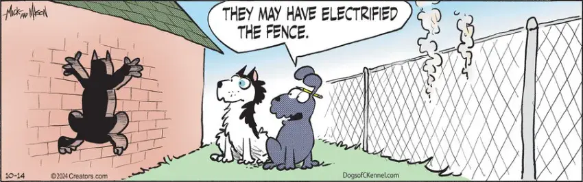 Dogs of C-Kennel for Oct 14, 2024