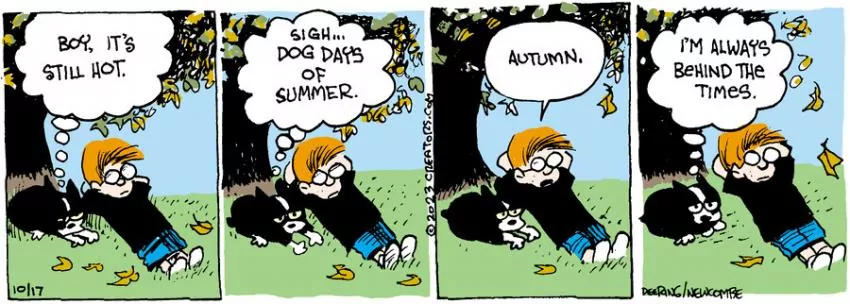 Zack Hill for Oct 17, 2023