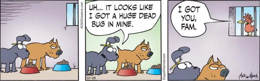 Dogs of C-Kennel for Oct 18, 2023