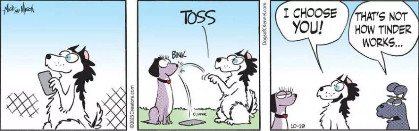 Dogs of C-Kennel for Oct 19, 2023