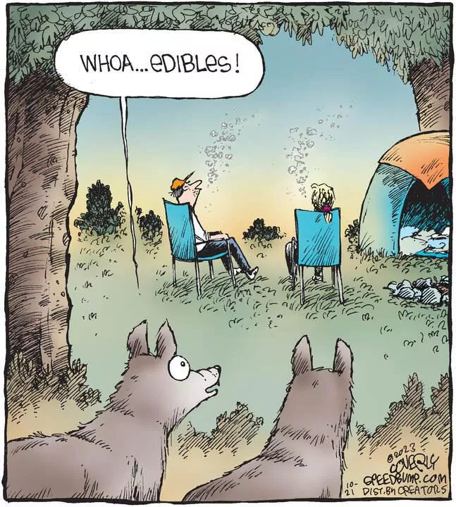 Speed Bump for Oct 21, 2023