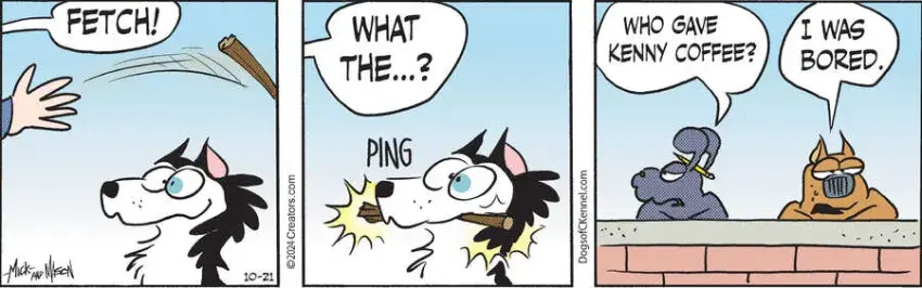 Dogs of C-Kennel for Oct 21, 2024