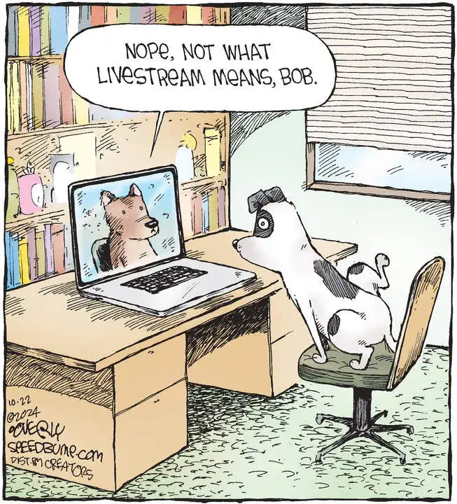 Speed Bump for Oct 22, 2024