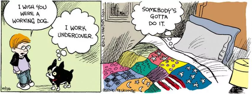 Zack Hill for Oct 26, 2023