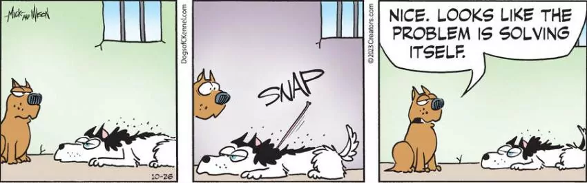 Dogs of C-Kennel for Oct 26, 2023