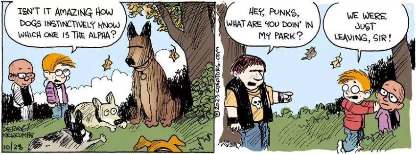 Zack Hill for Oct 28, 2023