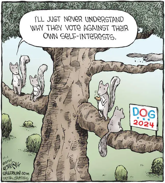 Speed Bump for Nov 01, 2024