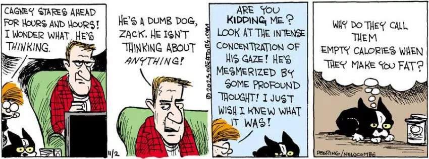 Zack Hill for Nov 02, 2023