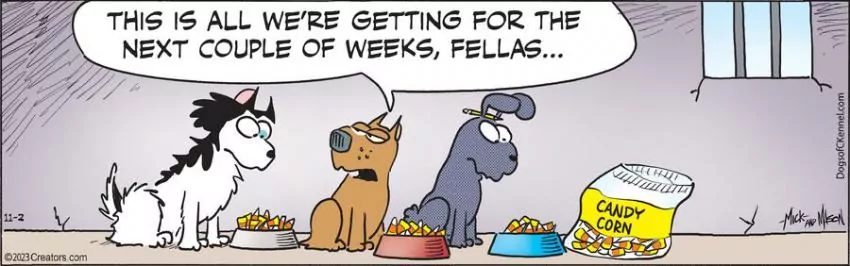 Dogs of C-Kennel for Nov 02, 2023