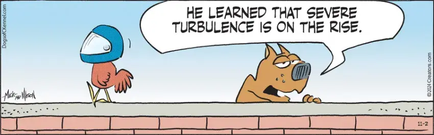 Dogs of C-Kennel for Nov 02, 2024