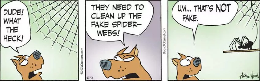 Dogs of C-Kennel for Nov 03, 2023