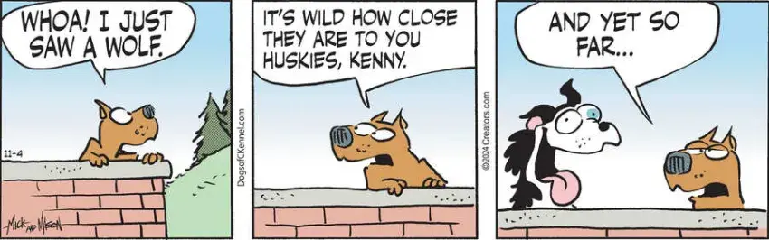 Dogs of C-Kennel for Nov 04, 2024