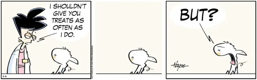 The Barn for Nov 04, 2024