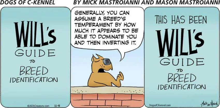 Dogs of C-Kennel for Nov 05, 2023