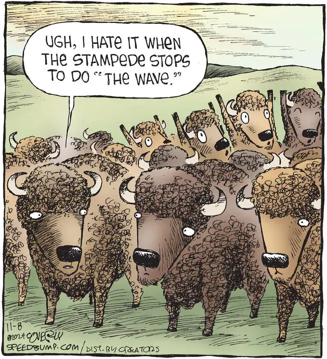 Speed Bump for Nov 08, 2024