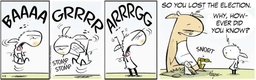 The Barn for Nov 08, 2024