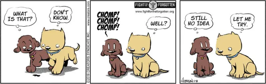 Dog Eat Doug for Nov 08, 2024